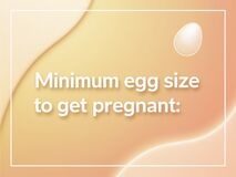 Minimum Egg Size to Get Pregnant